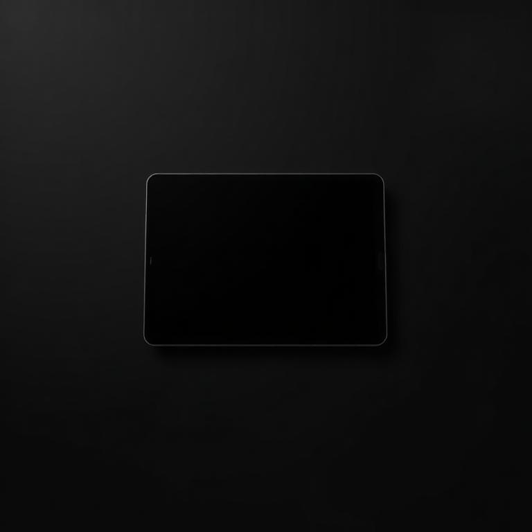 iPad